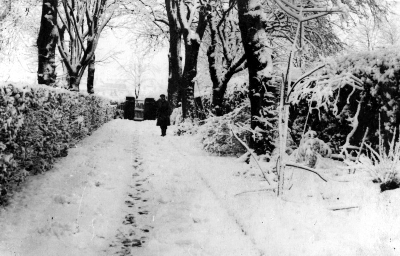 black and white snow-covered path with trees, figure in distance
