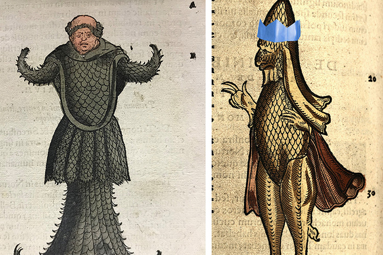 Illustrations of the bishop fish (with party hat) and the monk fish