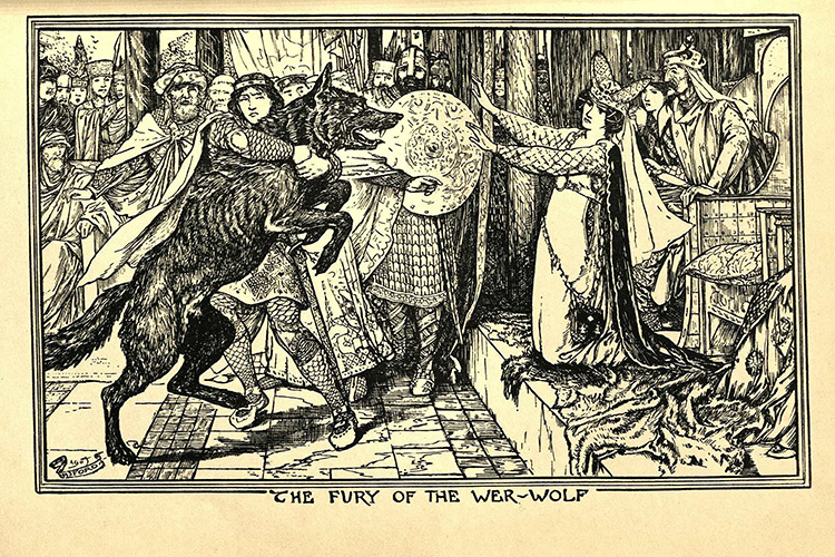 Illustration of werewolf