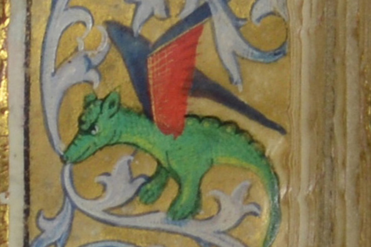 Illustration of a baby dragon