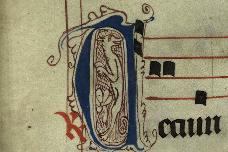 Hand-drawn decorated image of the initial 'D' with a dog