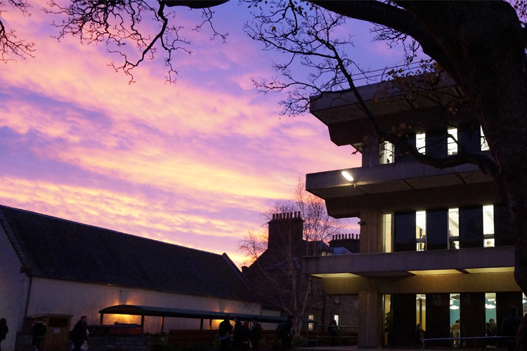 pink and purple light in sky behind darkened building