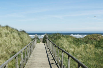 Blue sky and sea, wooden path leads down to the sandy beach