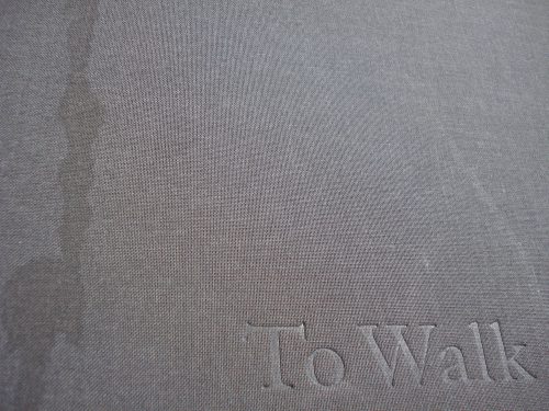 To Walk in Beauty cover