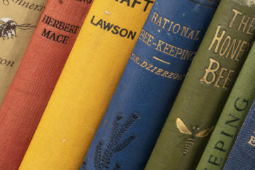 photograph of brightly coloured books stacked together all about bees and bee-keeing