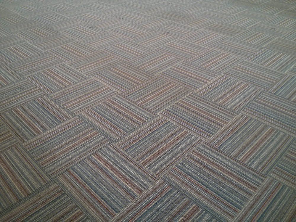level 2 carpet