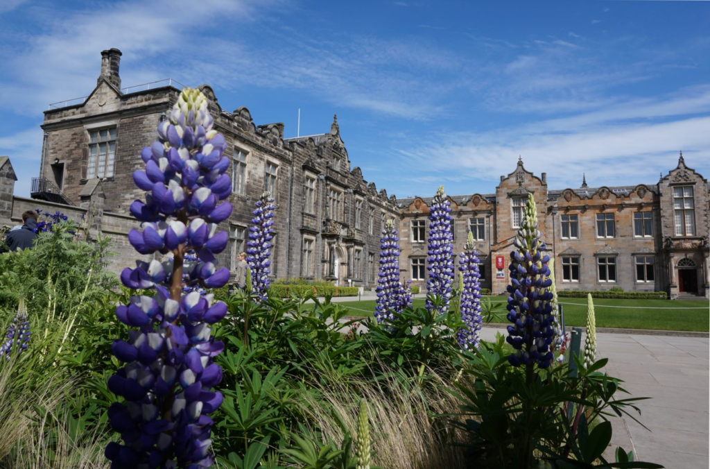 photo of large purple flower in foreground of St Salvators Quad