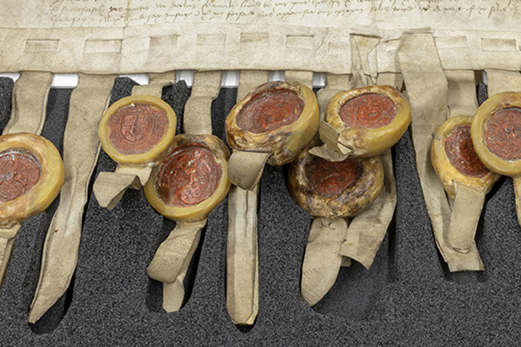 image of wax seals in protective box