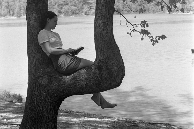 student sitting in tree reading a book